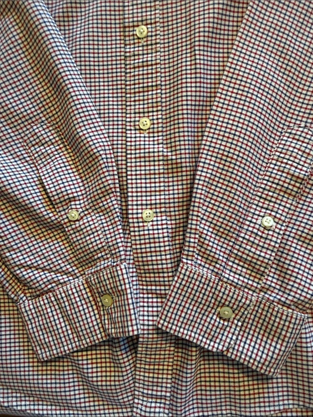 Polo by Ralph Lauren Red and Blue and White Micro-Check Button-Down Shirt